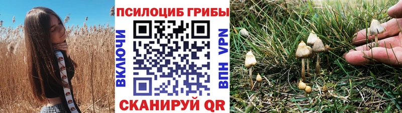 shop клад  Медногорск  Псилоцибиновые грибы мухоморы 